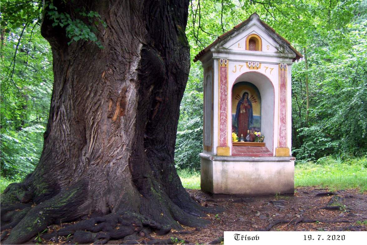 Úžasné místo - kaplička Panny Marie Sedmibolestné a několik staletí starý dub.