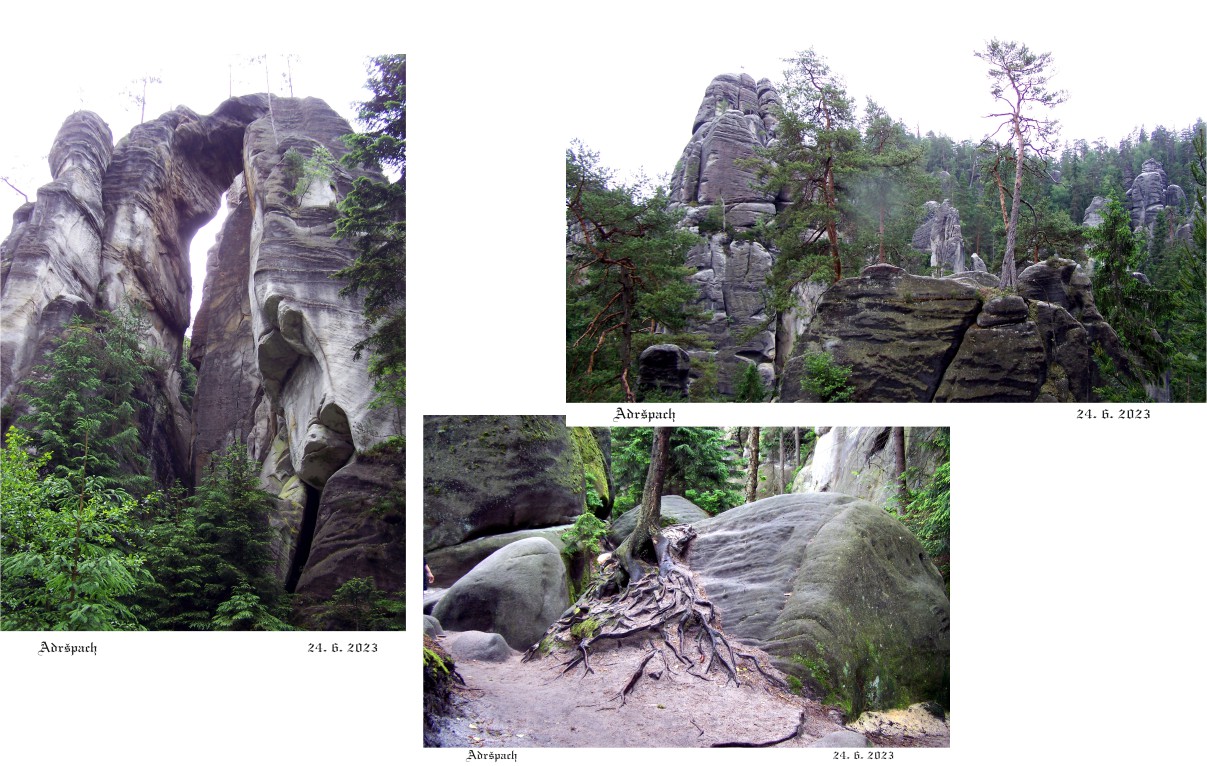 Adršpašské skály, úžasné scenérie kamenných skal a stromů.