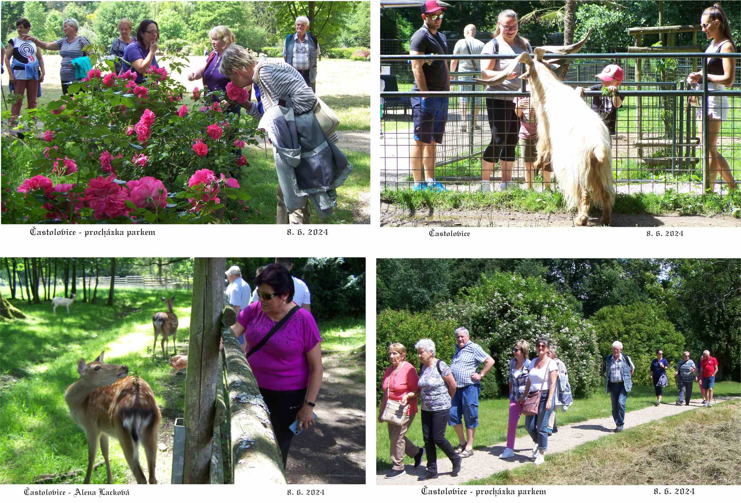 Zámecký park byl ideálním místem po obědě na procházku a relaxaci.