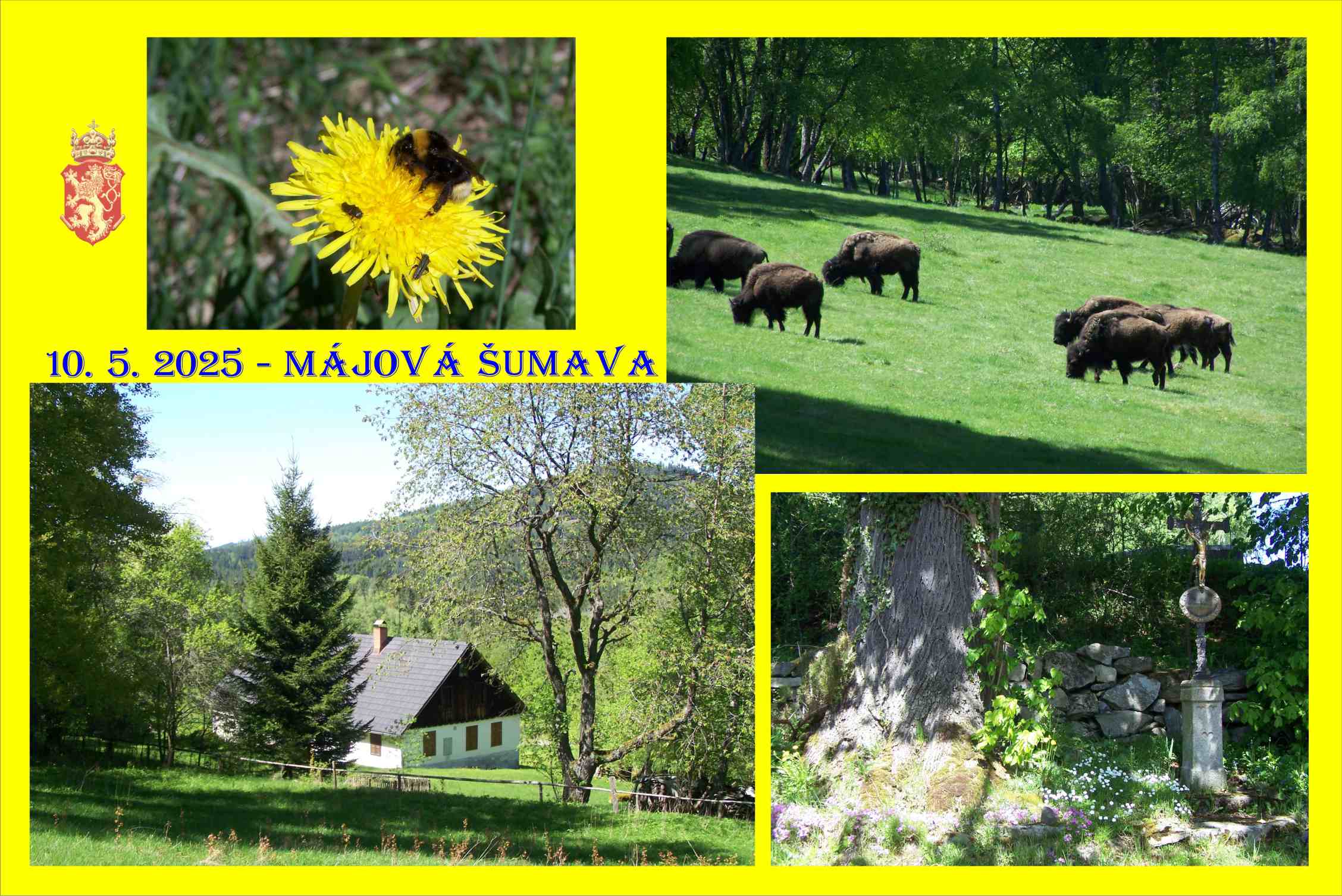 Májová Šumava aaaa
