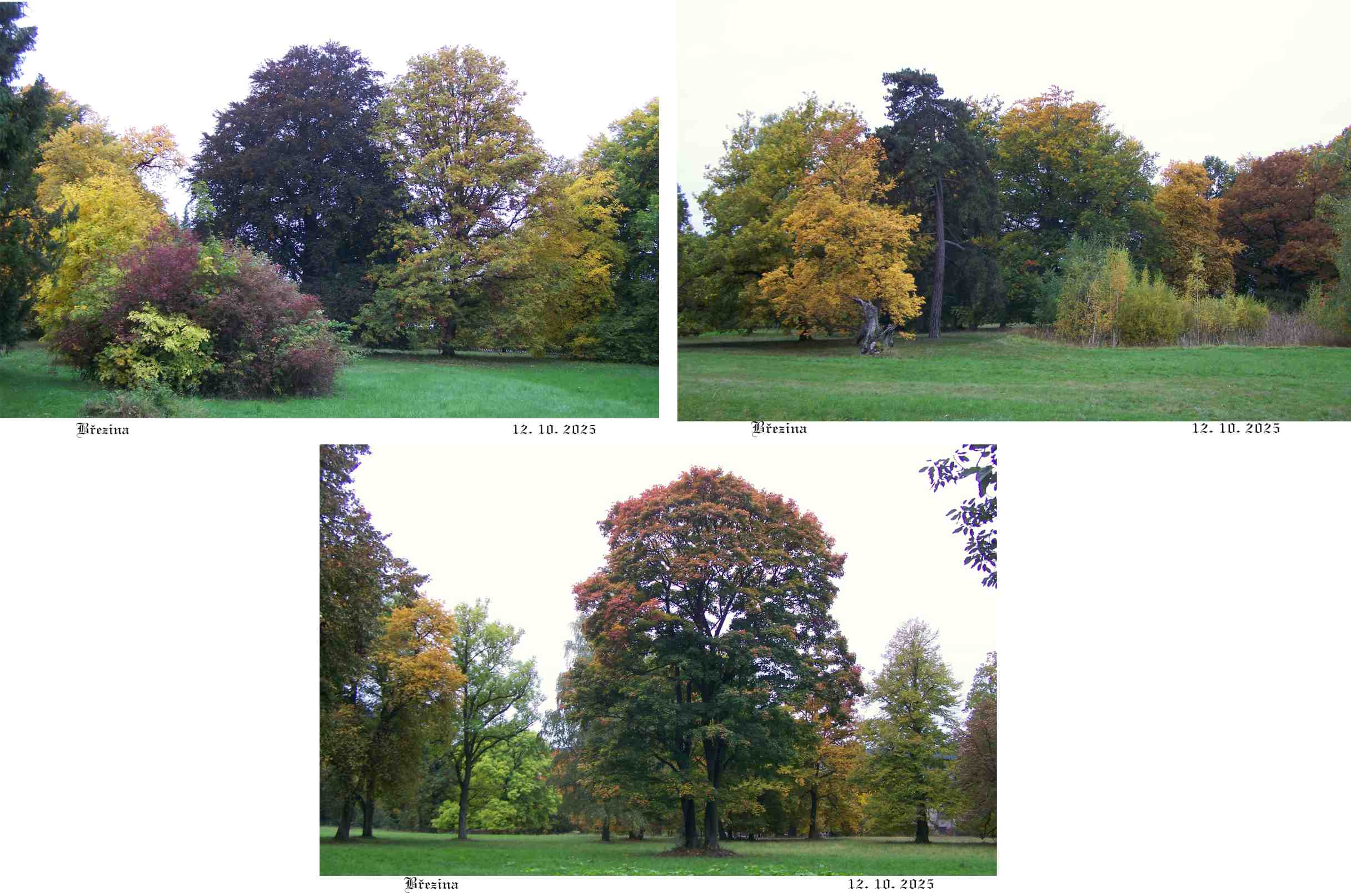 Březnický anglický park.